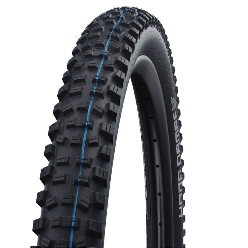 Schwalbe Hans Dampf Evolution Super...